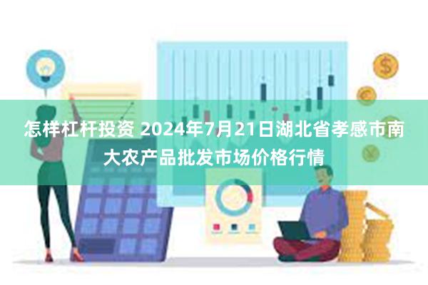 怎样杠杆投资 2024年7月21日湖北省孝感市南大农产品批发市场价格行情