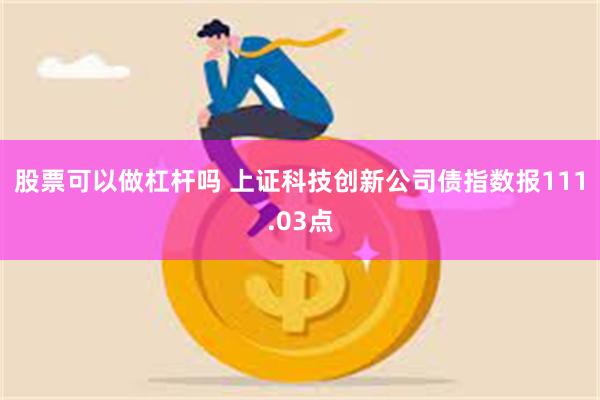 股票可以做杠杆吗 上证科技创新公司债指数报111.03点