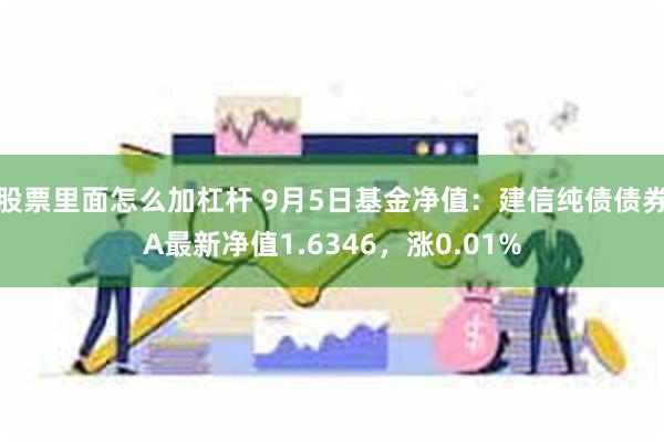 股票里面怎么加杠杆 9月5日基金净值：建信纯债债券A最新净值1.6346，涨0.01%