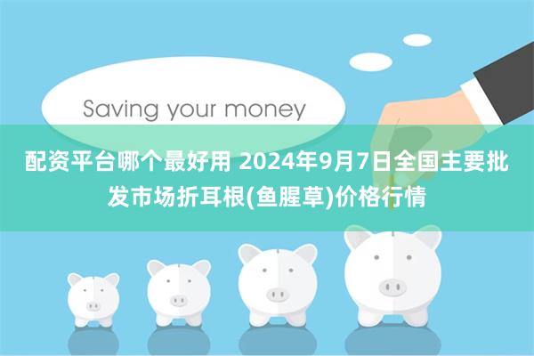 配资平台哪个最好用 2024年9月7日全国主要批发市场折耳根(鱼腥草)价格行情