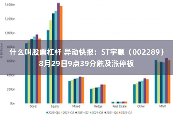 什么叫股票杠杆 异动快报：ST宇顺（002289）8月29日9点39分触及涨停板