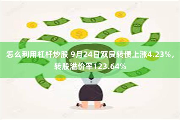 怎么利用杠杆炒股 9月24日双良转债上涨4.23%，转股溢价率123.64%