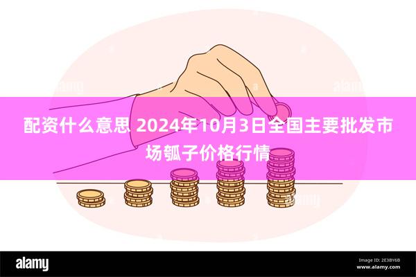 配资什么意思 2024年10月3日全国主要批发市场瓠子价格行情