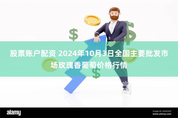 股票账户配资 2024年10月3日全国主要批发市场玫瑰香葡萄价格行情