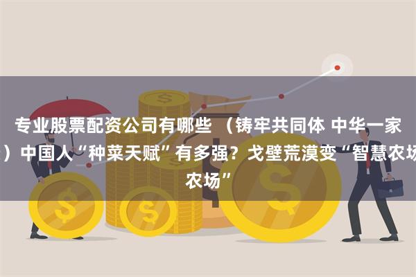 专业股票配资公司有哪些 （铸牢共同体 中华一家亲）中国人“种菜天赋”有多强？戈壁荒漠变“智慧农场”