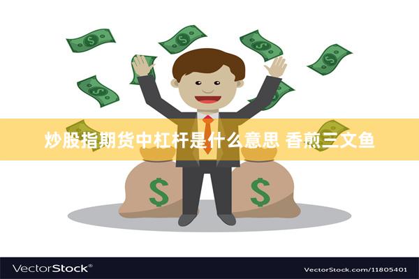 炒股指期货中杠杆是什么意思 香煎三文鱼