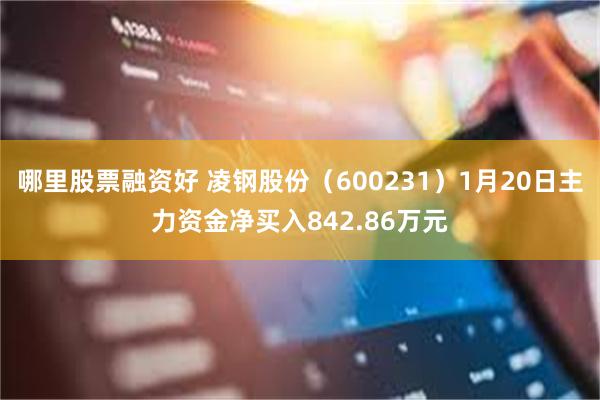 哪里股票融资好 凌钢股份（600231）1月20日主力资金净买入842.86万元